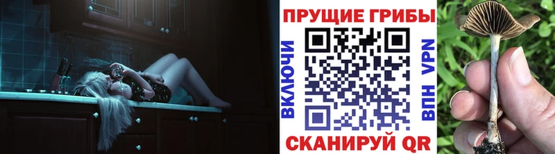 Псилоцибиновые грибы мухоморы  где можно купить наркотик  Снежинск 