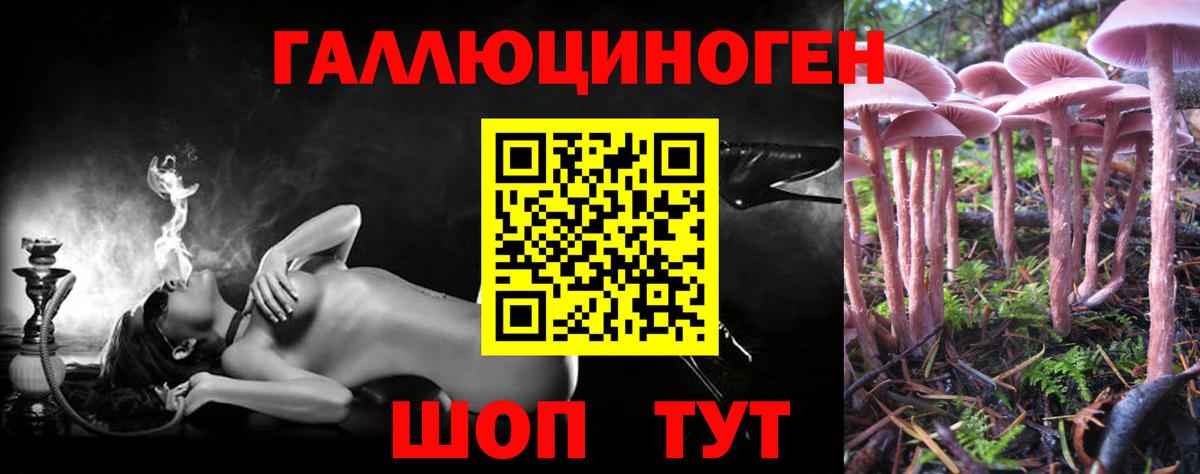 Снежинск  Псилоцибиновые грибы прущие грибы  Вход с VPN 